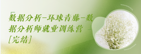 数据分析-环球青藤-数据分析师就业训练营[完结]-云端汇ZAL