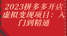 2023拼多多开店虚拟变现项目：入门到精通-云端汇ZAL