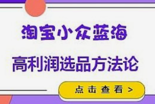 【免费】淘宝小众蓝海-选品方法论-云端汇ZAL