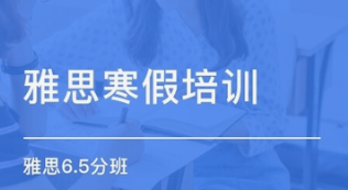 考虫最新寒假雅思系统班-云端汇ZAL